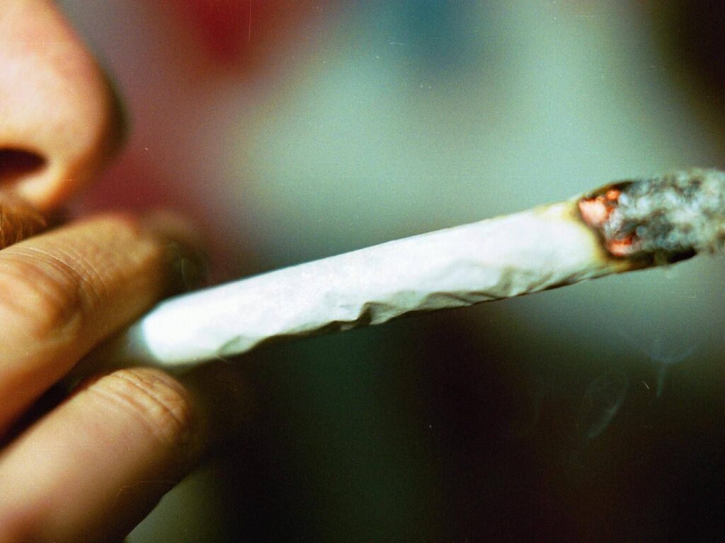 Cannabis, puissance croissante: 5 choses à savoir sur le risque de psychose