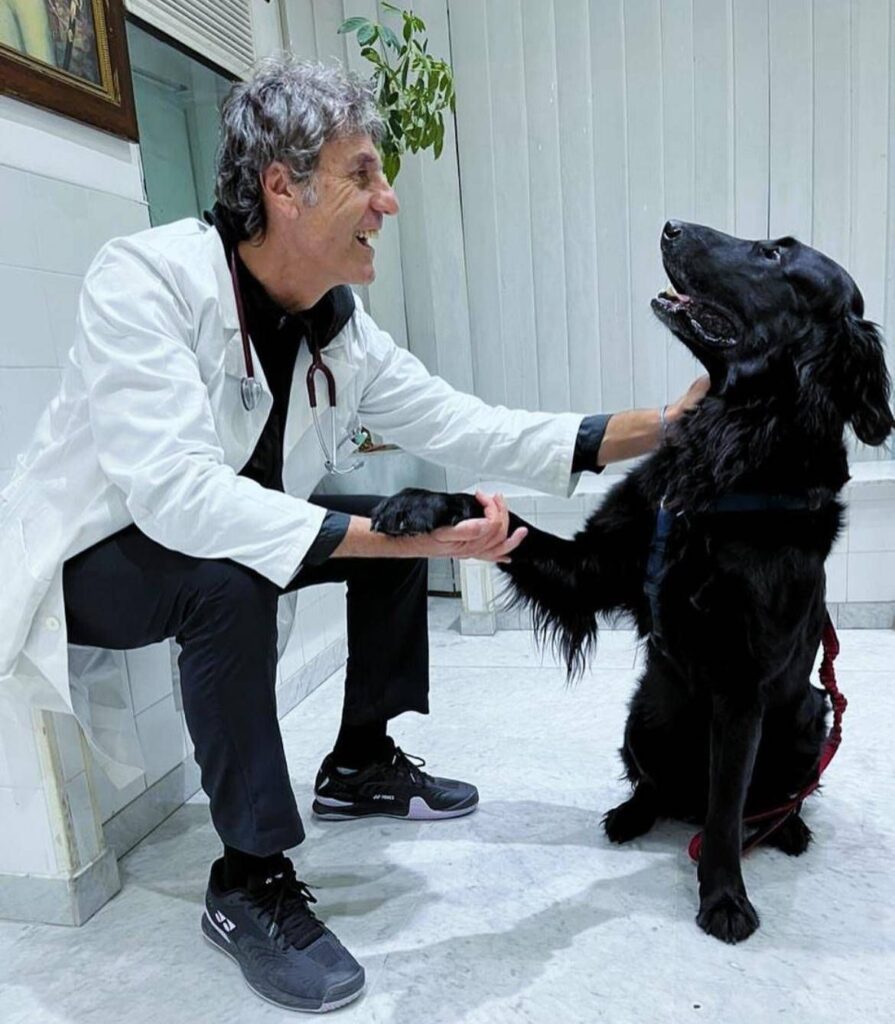 Dans les maisons des Italiens, 8 millions de chiens, compagnons mais aussi un petit médecin
