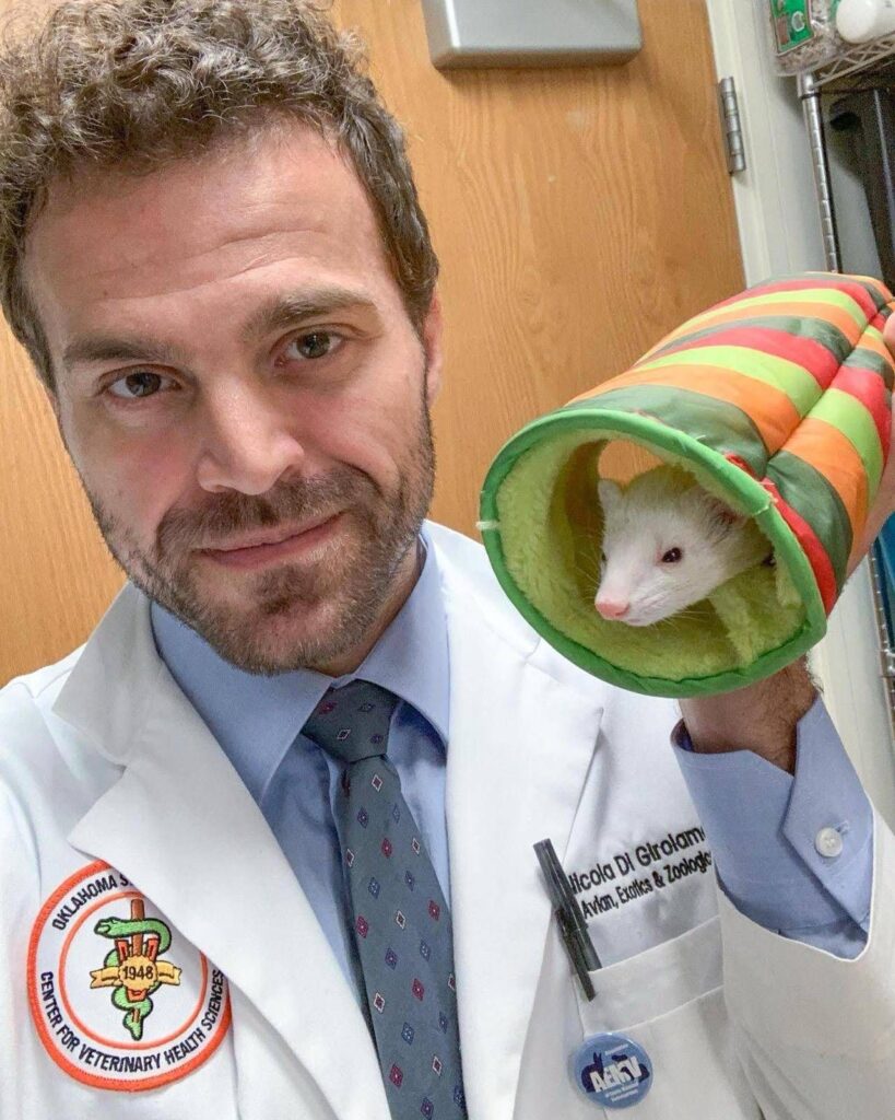 Été, animaux exotiques seuls à la maison? Le vétérinaire: "pas plus de 24 heures"