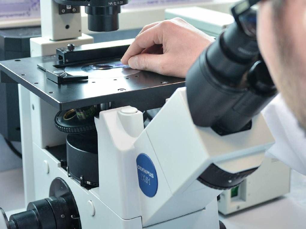 Verme mange de la viande, confirmé le cas humain d'infection
