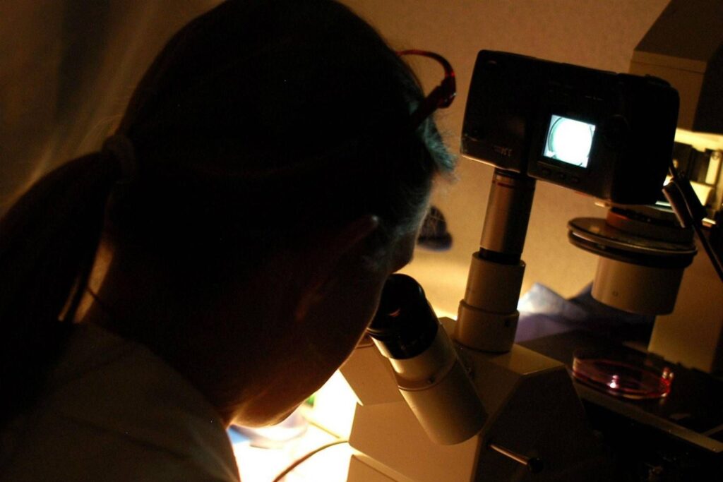 Verme mange de la viande, les caisses augmentent au Mexique