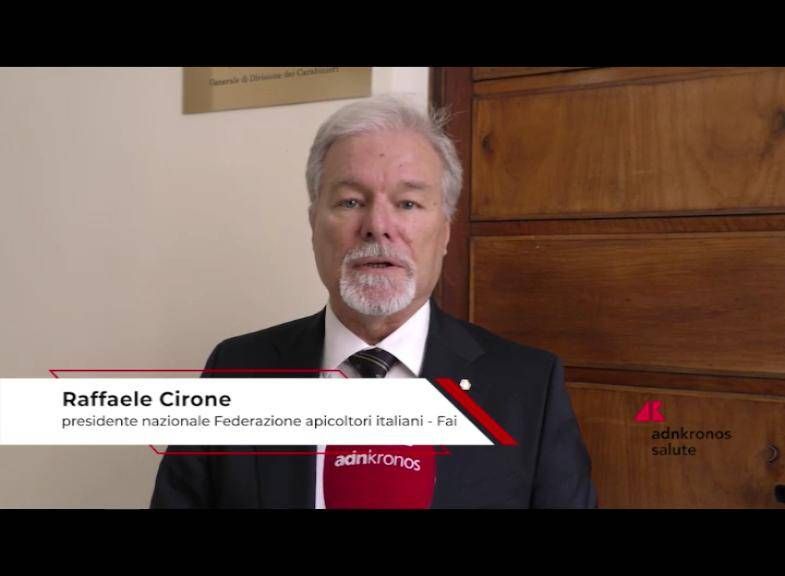 Nourriture: Cirone (FAI), '30% Les producteurs de Miele ne se déclarent pas au registre des apistes '