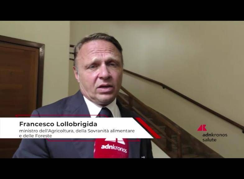 Santé: Lollobrigida, «API Elément très précieux pour l'environnement»