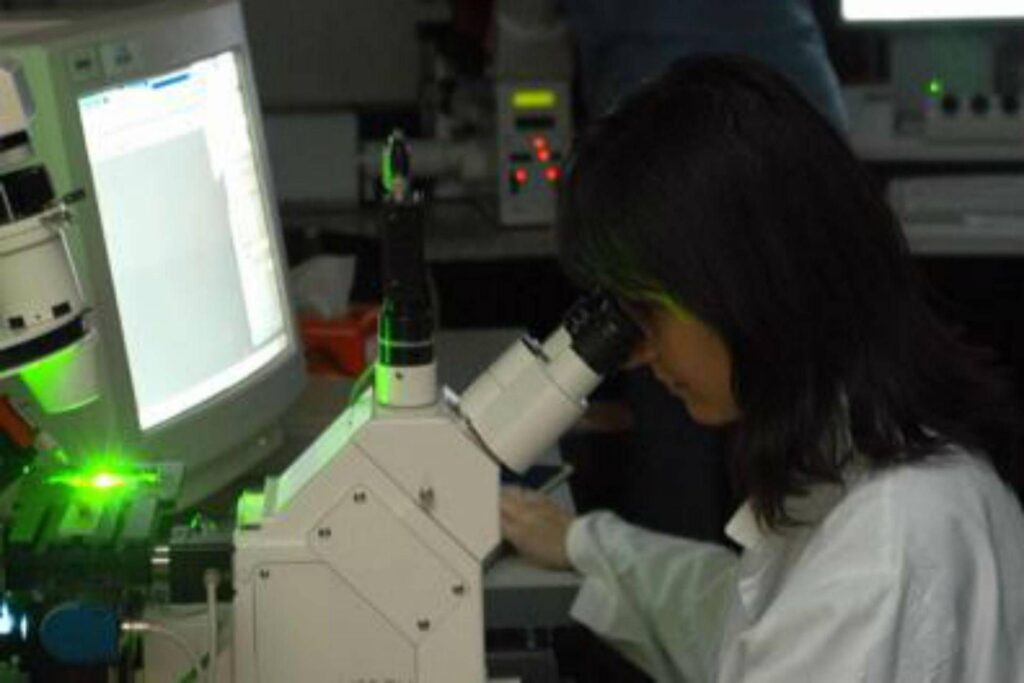 Sclérose en plaques, nouveaux critères pour un diagnostic plus rapide et plus précis