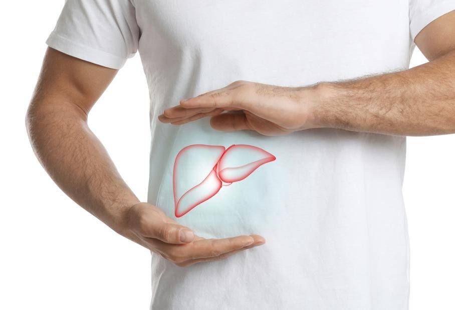 Stéatose hépatique, Studio démontre l'efficacité nutraceutique avec des algues brunes