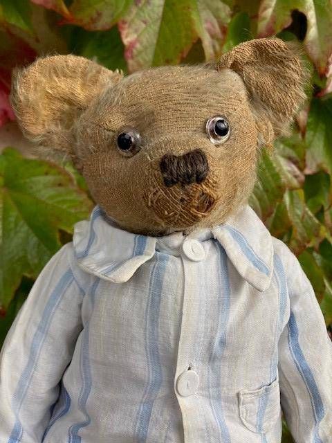 "Un nouveau look est nécessaire à l'ours en peluche." L'attrait de la science pour l'éco-manestri peluche