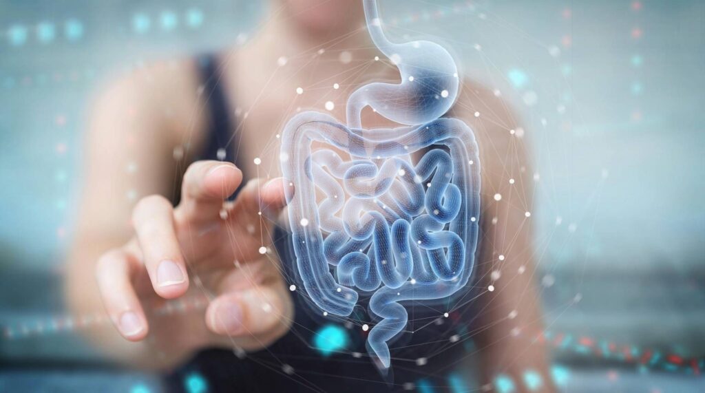 Découvert parce que l'asthme et les allergies alimentaires changent: ils sont nés du microbiote