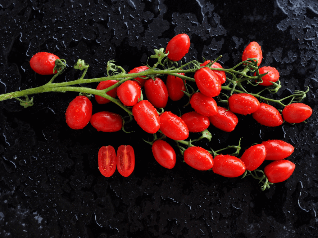 Épidémies de salmonelles rares en Europe, l’hypothèse de la tomate cerise se renforce