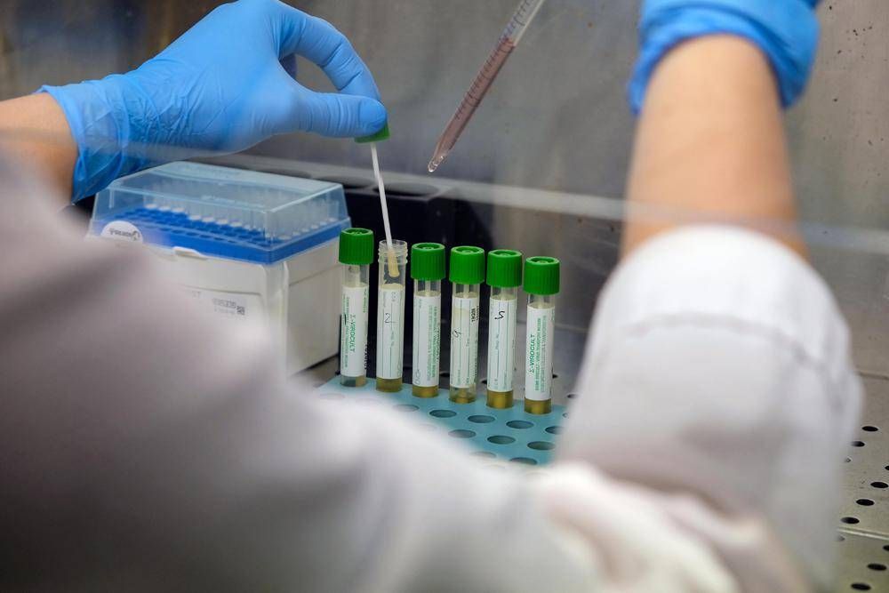 Médecine, les Italiens révèlent des erreurs cachées dans les cellules: "Rôle possible dans plusieurs maladies"