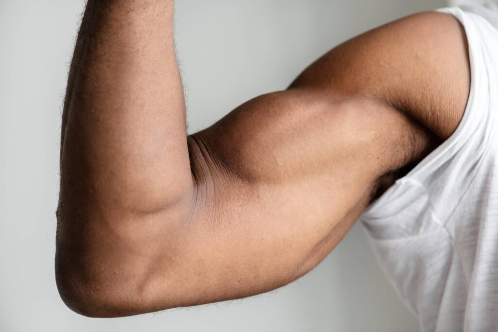 C'est pourquoi les muscles vieillissent, l'étude italienne révèle le rôle des peroxysomes