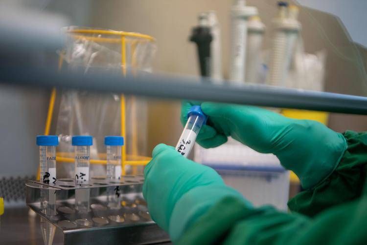 Tumeurs, l'étude : découverte d'un interrupteur moléculaire pour « reconvertir » les cellules malignes