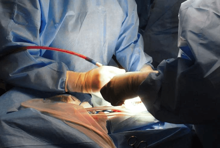 Transplantations, Ordre des Psychologues : « La mort de Domenico est un choc collectif, un soutien stable pour la famille »