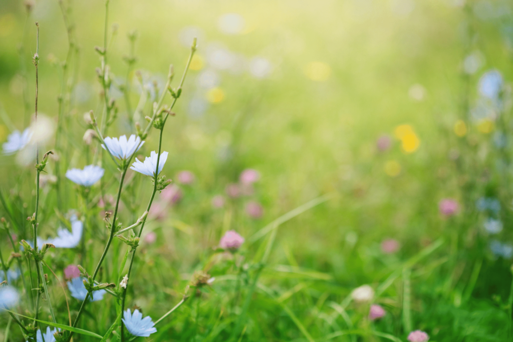 Le printemps, les risques des premiers soleils, le dermatologue : "Ça peut aussi brûler, la peau s'y habitue petit à petit"