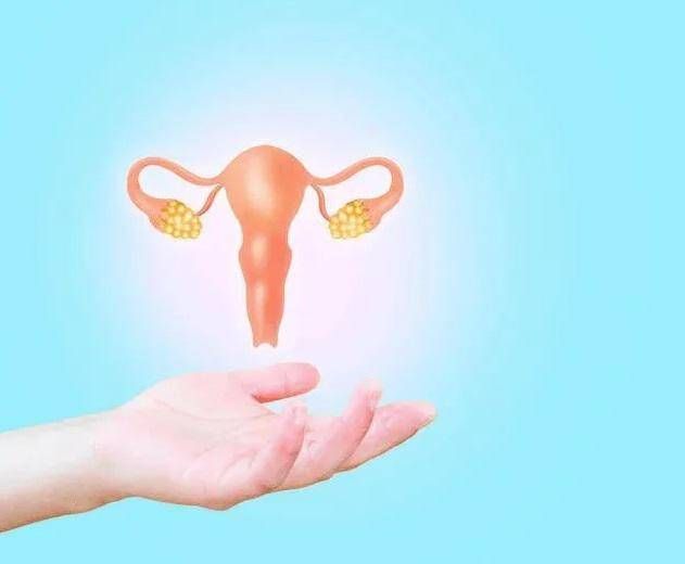 En Italie, 15 nouveaux diagnostics de cancer de l'ovaire par jour : lancement de la campagne « Ensemble d'ensembles »