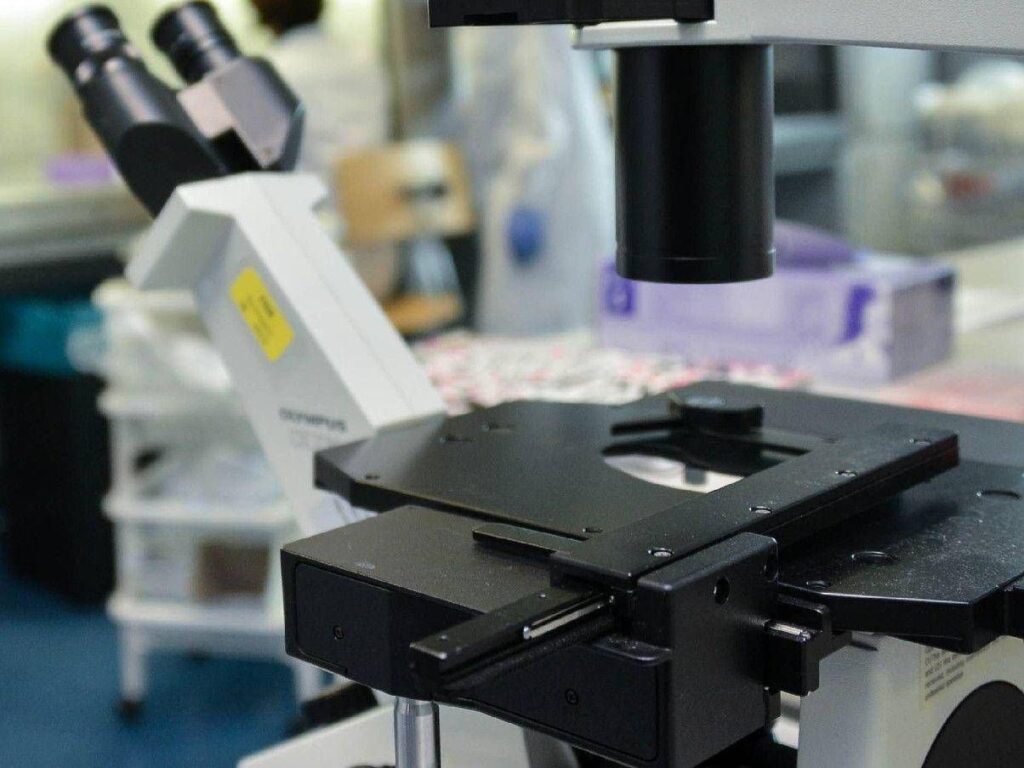 Les tumeurs perdent ainsi le don d'invisibilité, la nouvelle stratégie de la recherche italienne