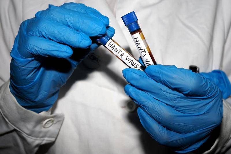 Hantavirus, l'EMA surveille la propagation : "Prêt à soutenir les processus de vaccination"