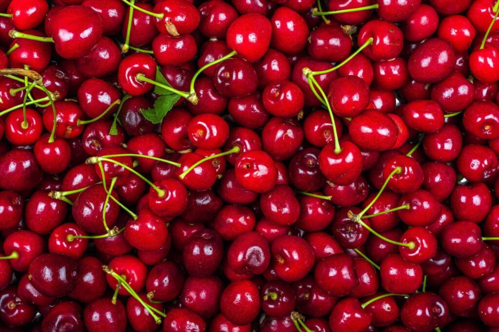 La cerise et ses qualités « cachées », Calabrese : « Même la tige est bonne pour vous »