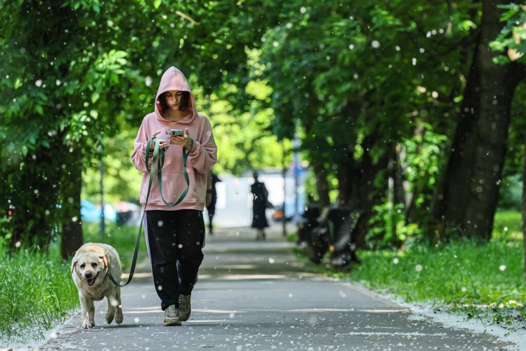 Obligation de laver le pipi du chien dans la rue, Bassetti : "D'un point de vue scientifique ça ne sert à rien"