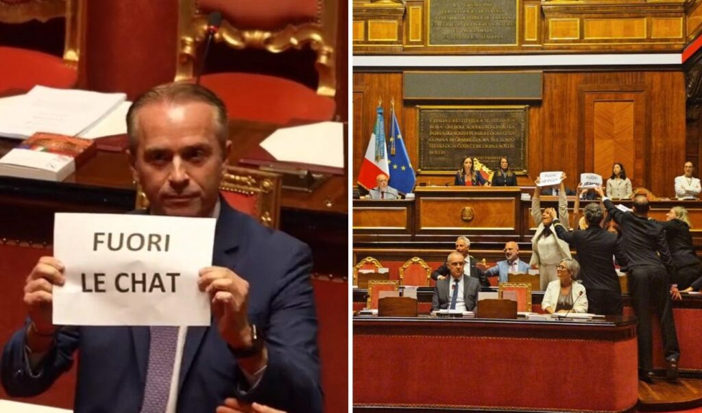 Affaire Delmastro, le Conseil de Chambre dit non à la demande du Procureur sur les chats. Le M5S occupe les bancs du gouvernement au Sénat – Vidéo