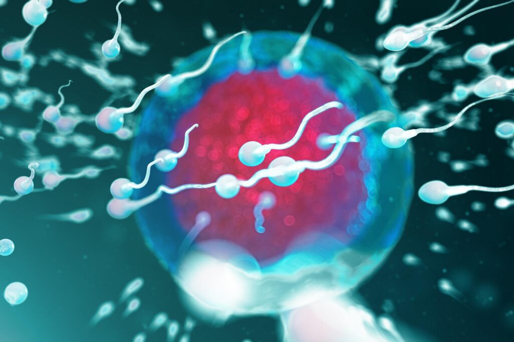 La fertilité, où il vit, compte : la région de résidence et le smog affectent la qualité du sperme