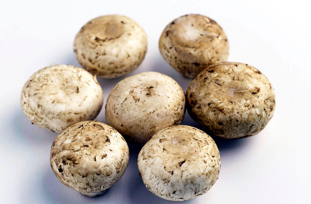 Action anti-cancer possible des champignons de Paris, mécanisme étudié