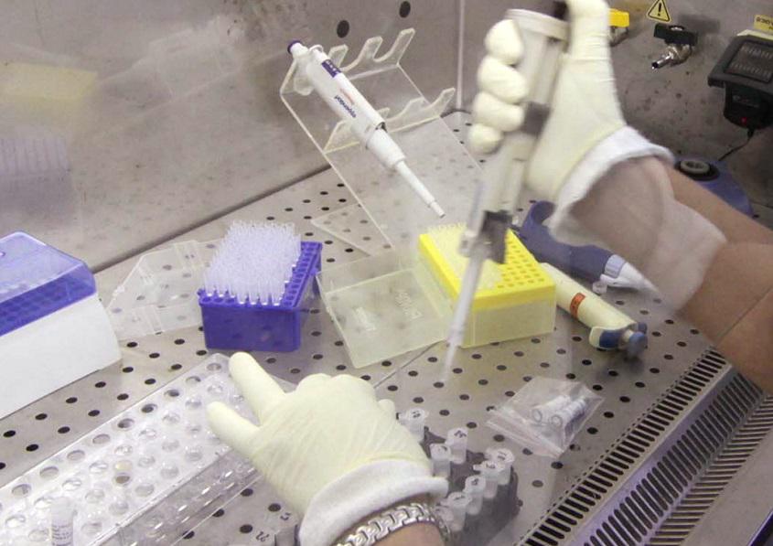 Une petite fille est décédée à Palerme de la diphtérie, son petit cousin est sorti : il était également positif mais vacciné