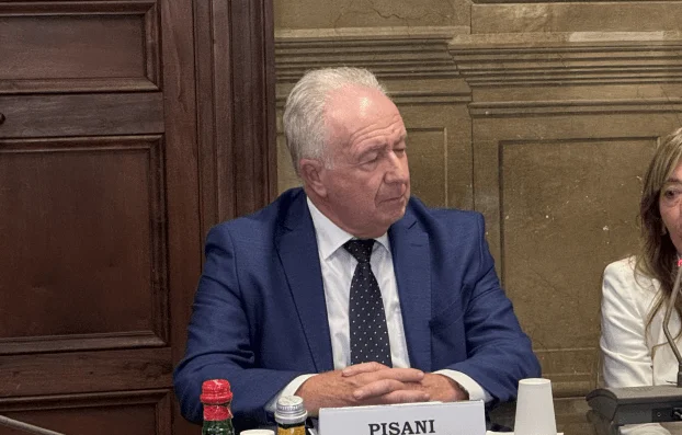 Cancer du nasopharynx, Pisani (Ailar) : « Des parcours multidisciplinaires et une centralité du patient sont nécessaires »