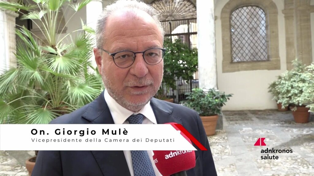Mulè, "Modèle vertueux de collaboration vulnérable pour soutenir les personnes les plus fragiles"