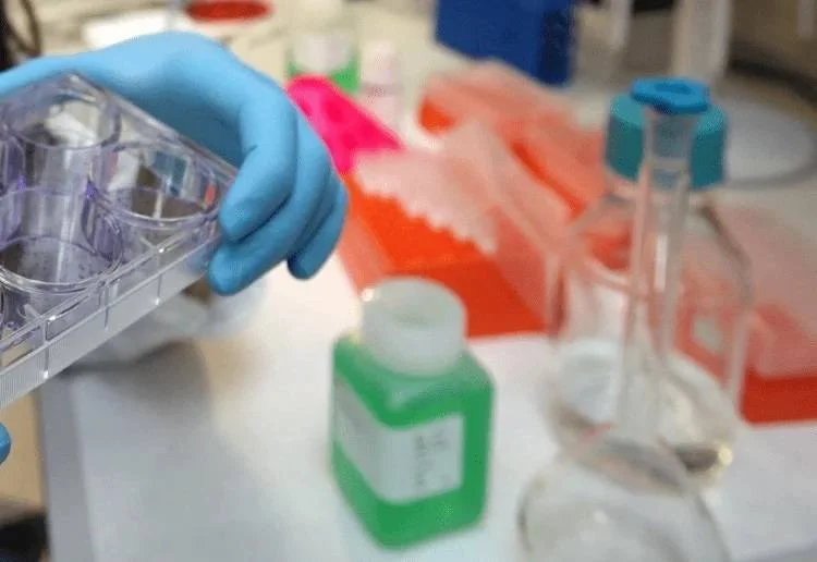 Journée du cancer du sein métastatique, en Italie plus de 55 000 femmes atteintes de la maladie